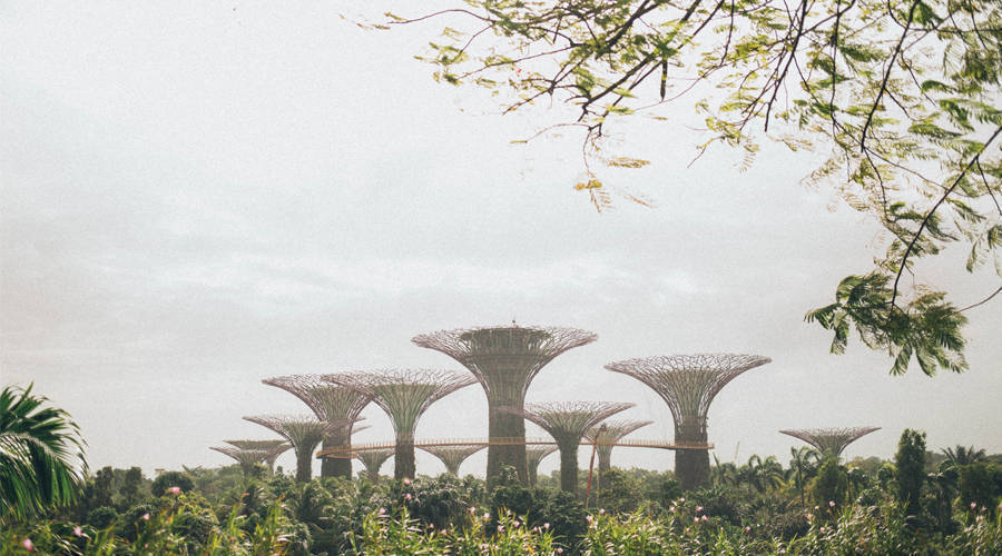 新加坡公司注冊后需要進行的工作有哪些？