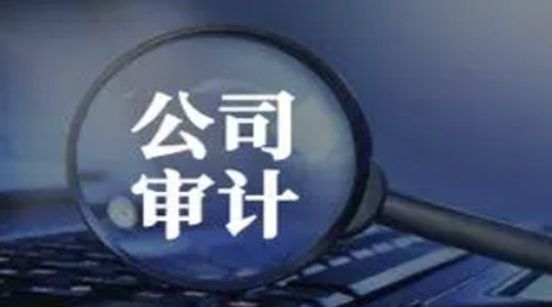 新加坡公司審計是否可以預(yù)測未來的財務(wù)風(fēng)險？